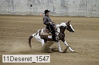 11deseret_1547 thumbnail