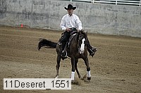 11deseret_1551 thumbnail