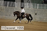 11deseret_1555 thumbnail