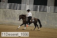 11deseret_1556 thumbnail