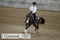 11deseret_1557 thumbnail