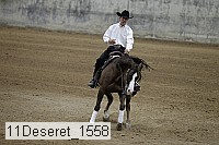 11deseret_1558 thumbnail