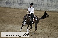 11deseret_1559 thumbnail