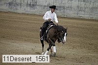 11deseret_1561 thumbnail