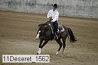 11deseret_1562 thumbnail