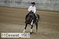 11deseret_1563 thumbnail