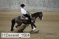 11deseret_1564 thumbnail