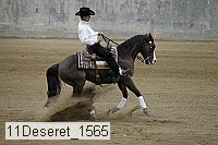 11deseret_1565 thumbnail