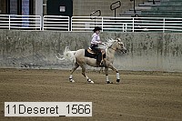 11deseret_1566 thumbnail