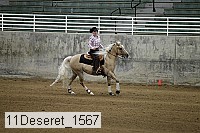 11deseret_1567 thumbnail