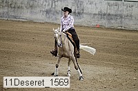 11deseret_1569 thumbnail