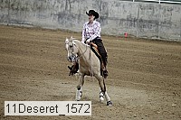 11deseret_1572 thumbnail