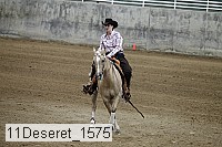 11deseret_1575 thumbnail