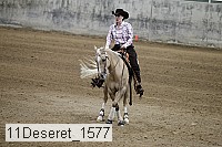 11deseret_1577 thumbnail