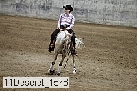 11deseret_1578 thumbnail