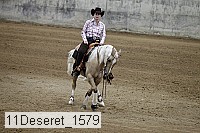 11deseret_1579 thumbnail