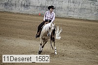 11deseret_1582 thumbnail