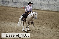 11deseret_1583 thumbnail