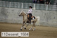 11deseret_1584 thumbnail