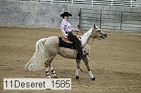 11deseret_1585 thumbnail