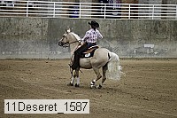 11deseret_1587 thumbnail