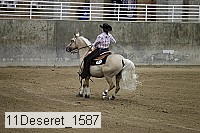 11deseret_1587 thumbnail