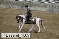 11deseret_1589 thumbnail