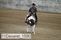 11deseret_1590 thumbnail