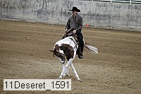 11deseret_1591 thumbnail