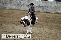 11deseret_1592 thumbnail