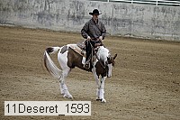 11deseret_1593 thumbnail