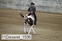 11deseret_1596 thumbnail