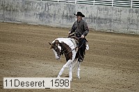 11deseret_1598 thumbnail