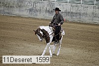 11deseret_1599 thumbnail