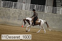 11deseret_1600 thumbnail