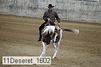 11deseret_1602 thumbnail