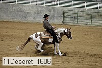 11deseret_1606 thumbnail