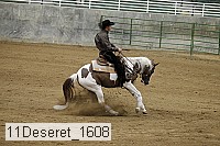 11deseret_1608 thumbnail