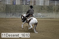 11deseret_1610 thumbnail