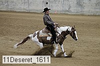 11deseret_1611 thumbnail