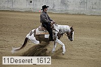 11deseret_1612 thumbnail