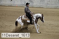 11deseret_1613 thumbnail