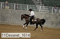 11deseret_1614 thumbnail