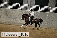 11deseret_1615 thumbnail