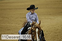 11deseret_1616 thumbnail