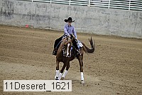 11deseret_1621 thumbnail