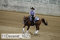 11deseret_1623 thumbnail