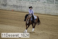 11deseret_1624 thumbnail