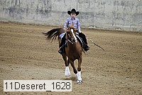 11deseret_1628 thumbnail