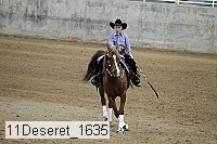 11deseret_1635 thumbnail